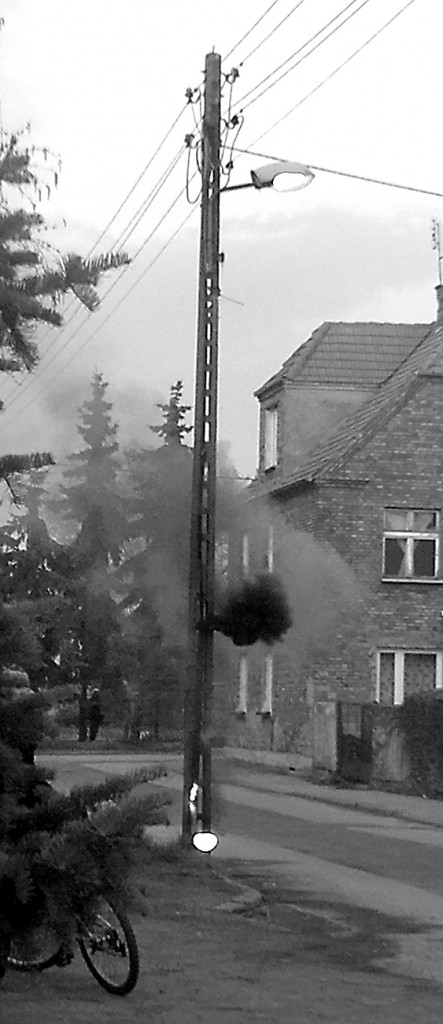 fot. Agnieszka Witkowska