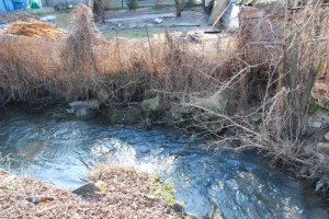 Strumień Junikowski