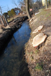 Strumień Junikowski