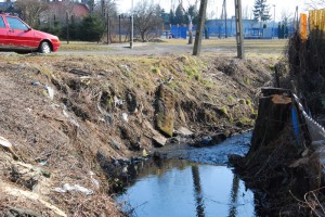 Strumień Junikowski