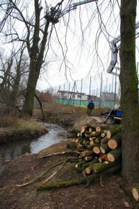 Strumień Junikowski