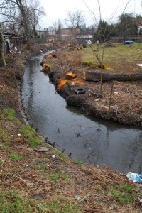 Strumień Junikowski