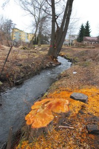 Strumień Junikowski