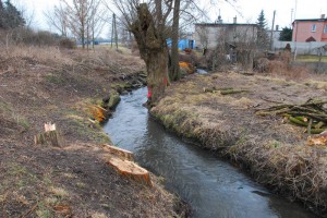 Strumień Junikowski