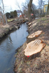 Strumień Junikowski