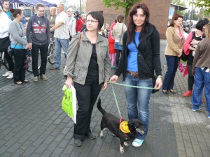 fot. Paweł Wolniewicz