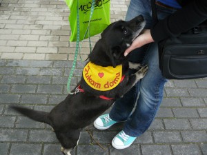 fot. Paweł Wolniewicz