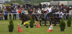 Lubonianki podczas zawodów. Zbój dzielnie walczy o wygraną fot. Ł. Borysow
