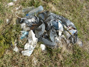 Walają się tu również porozrywane worki foliowe ze śmieciami   fot. Paweł Wolniewicz